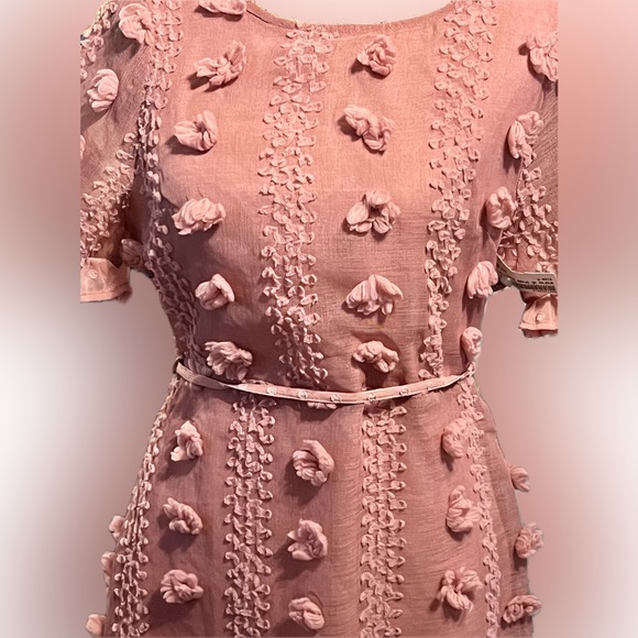 NWT Andree by Unit Ruffle Dress Size M Rose Chenille Swiss Dot Sexy Lined Belted - Picture 9 of 15